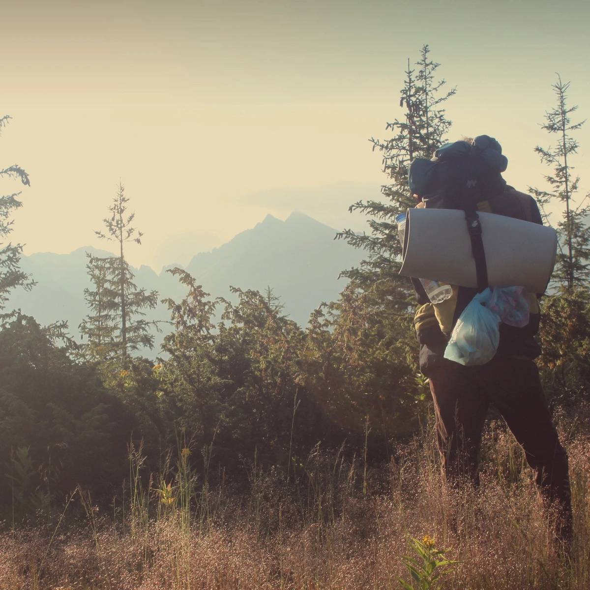 A person with a backpack walking through the grass.